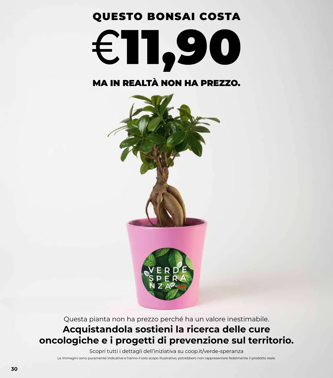 Pagina 30