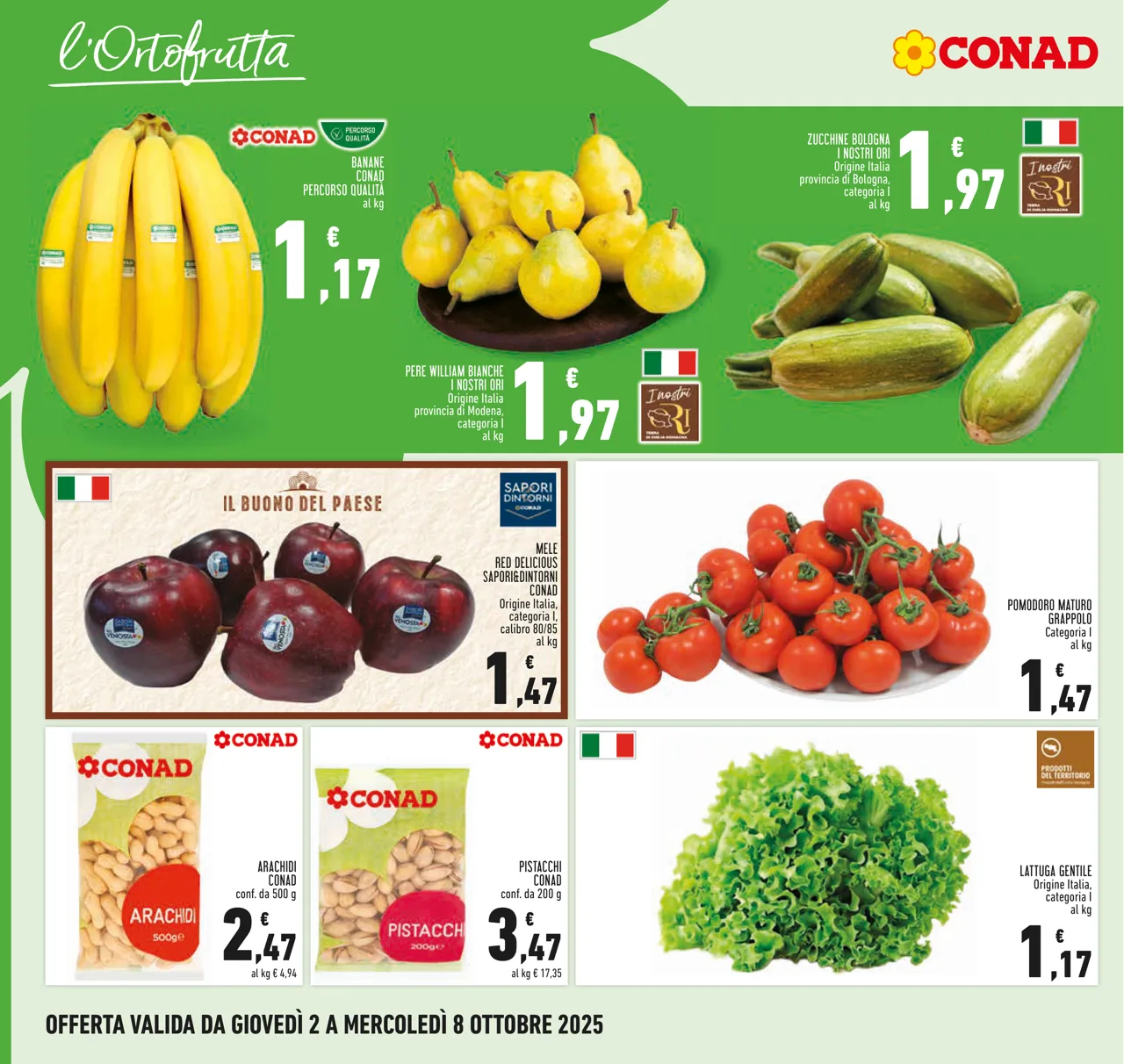 Pagina 8