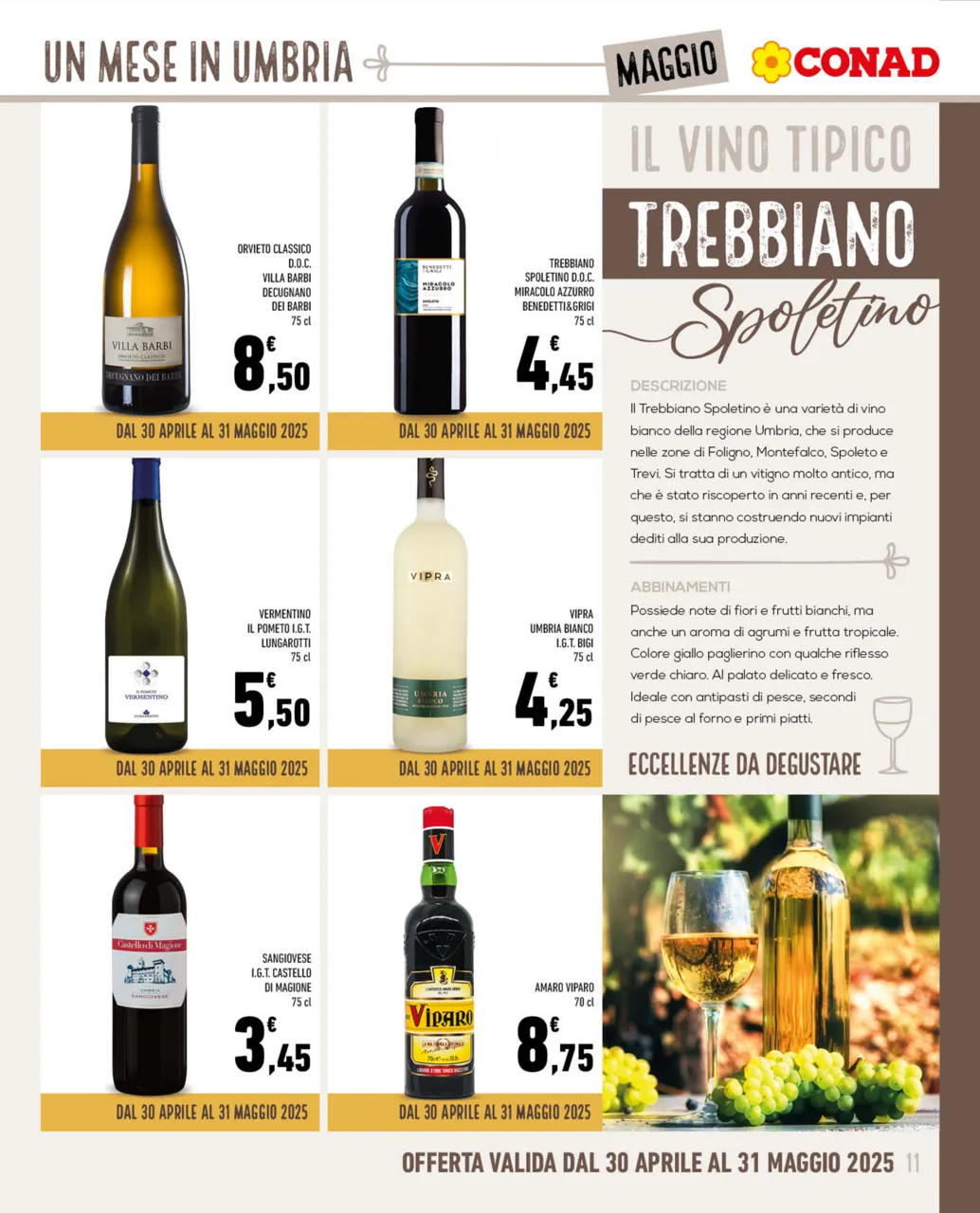 Pagina 11