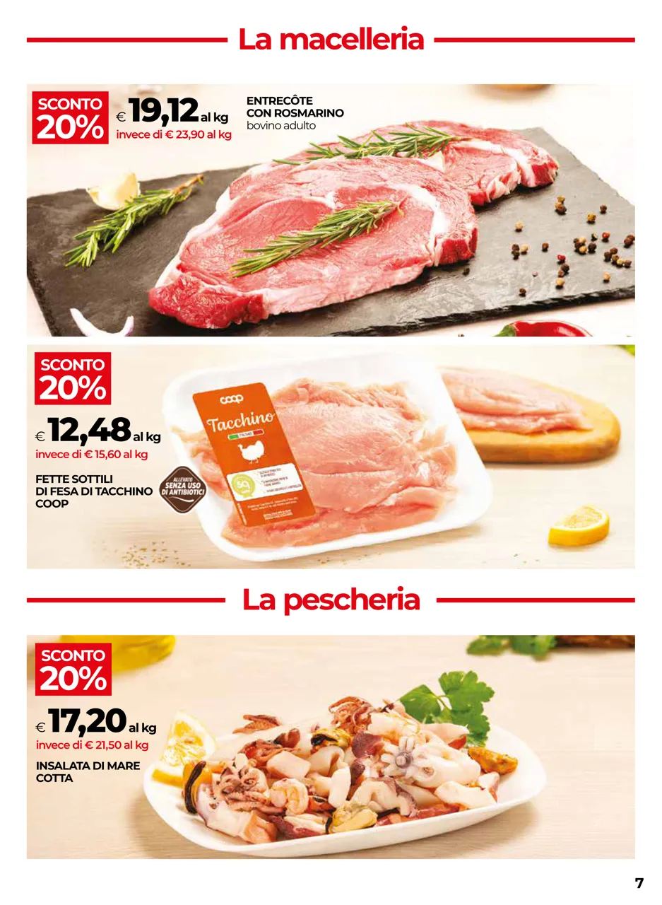 Pagina 7