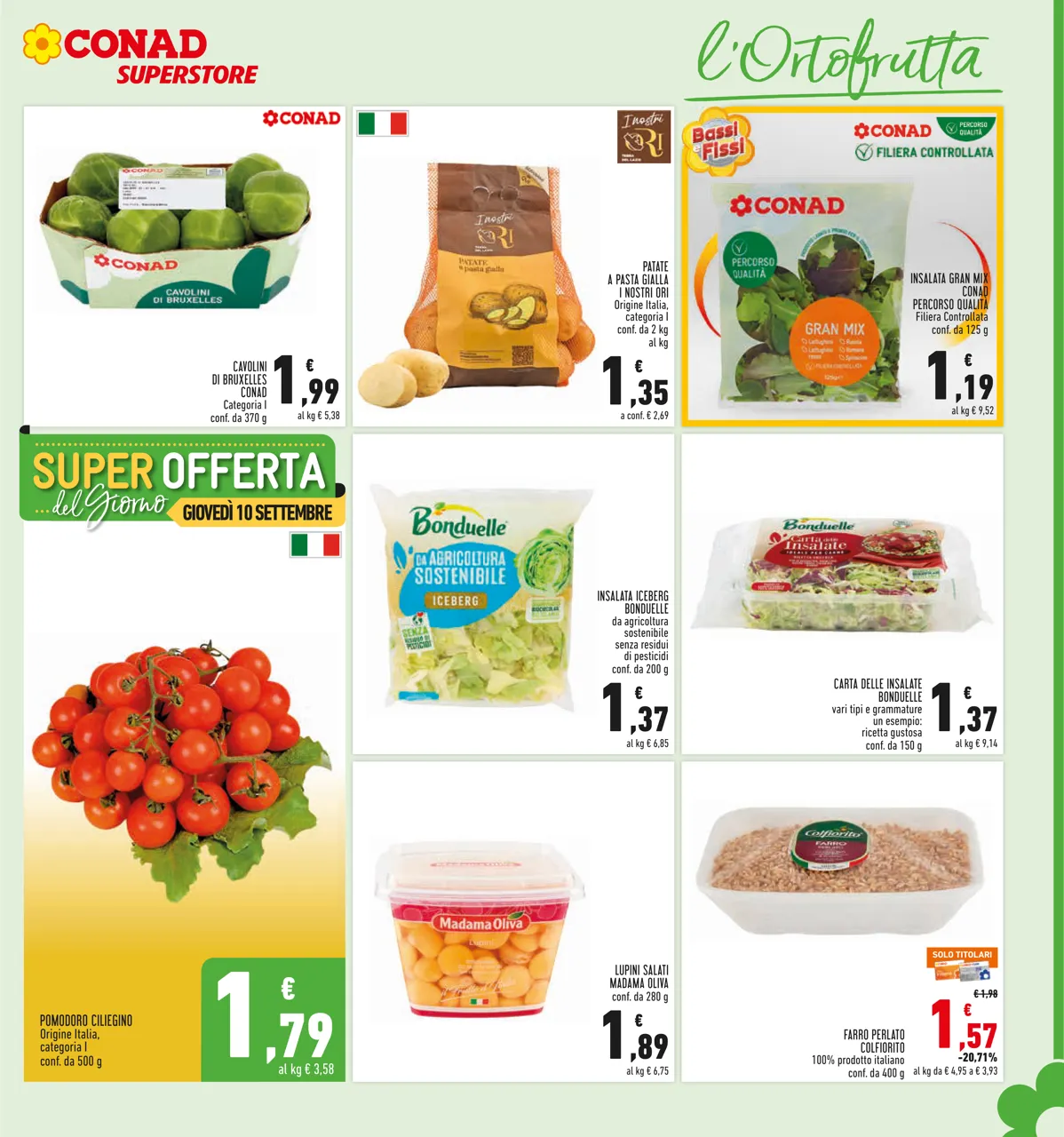 Pagina 7
