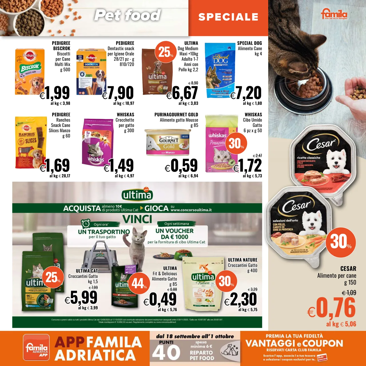 Pagina 31