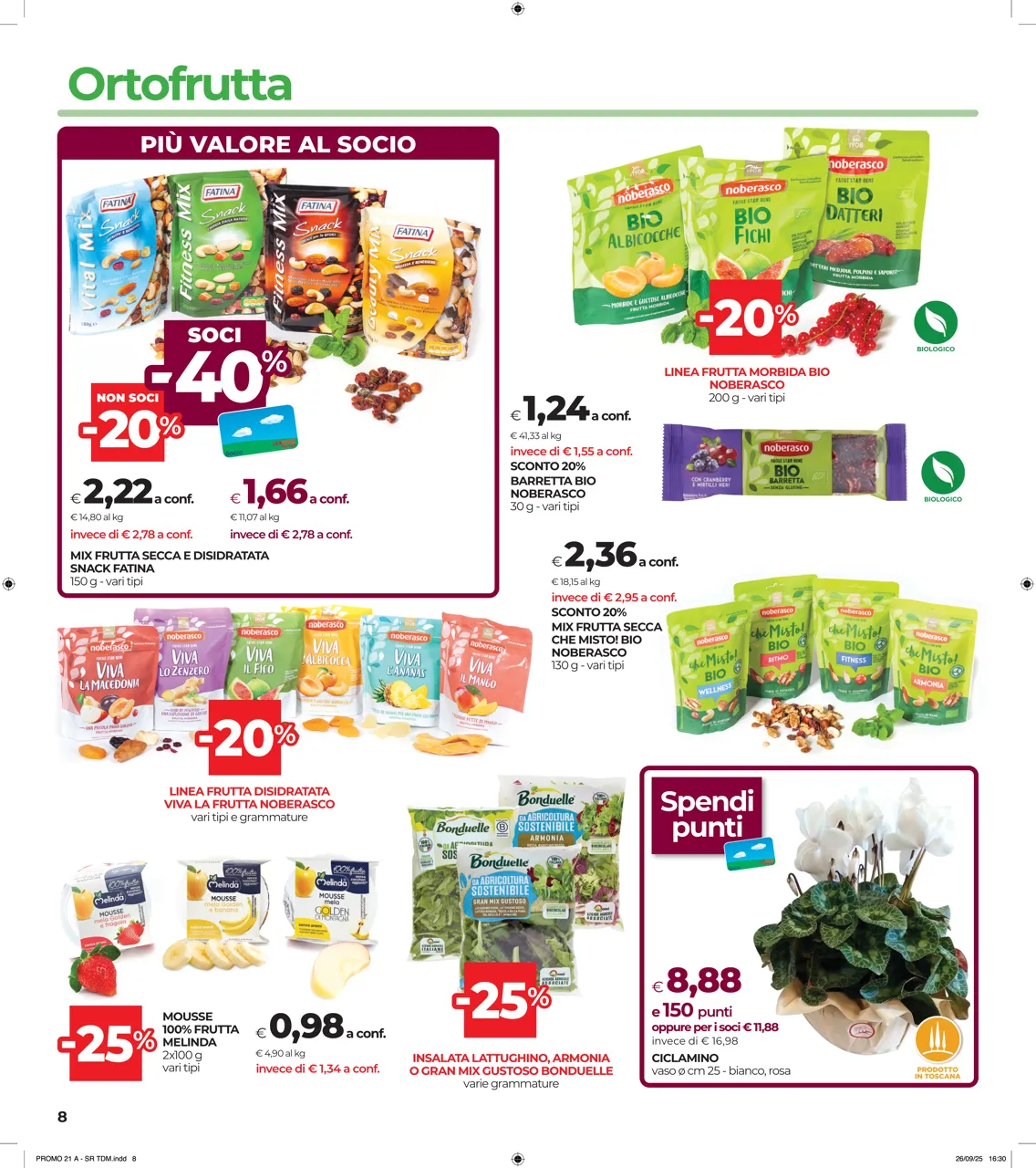 Pagina 8