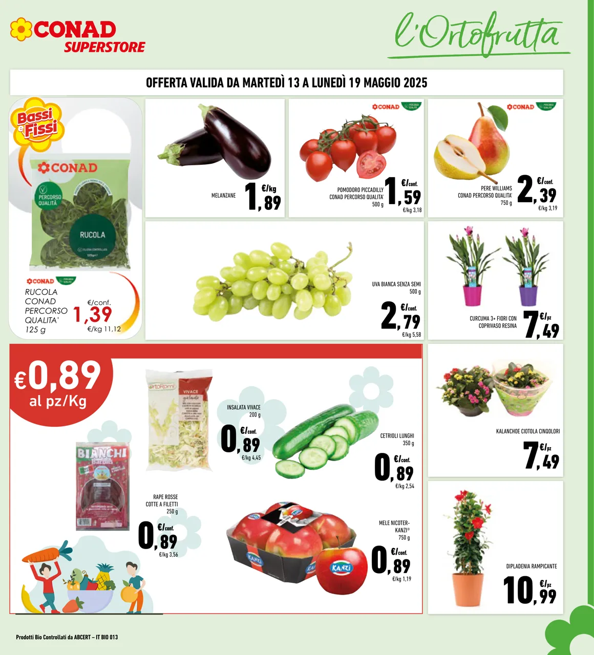 Pagina 7