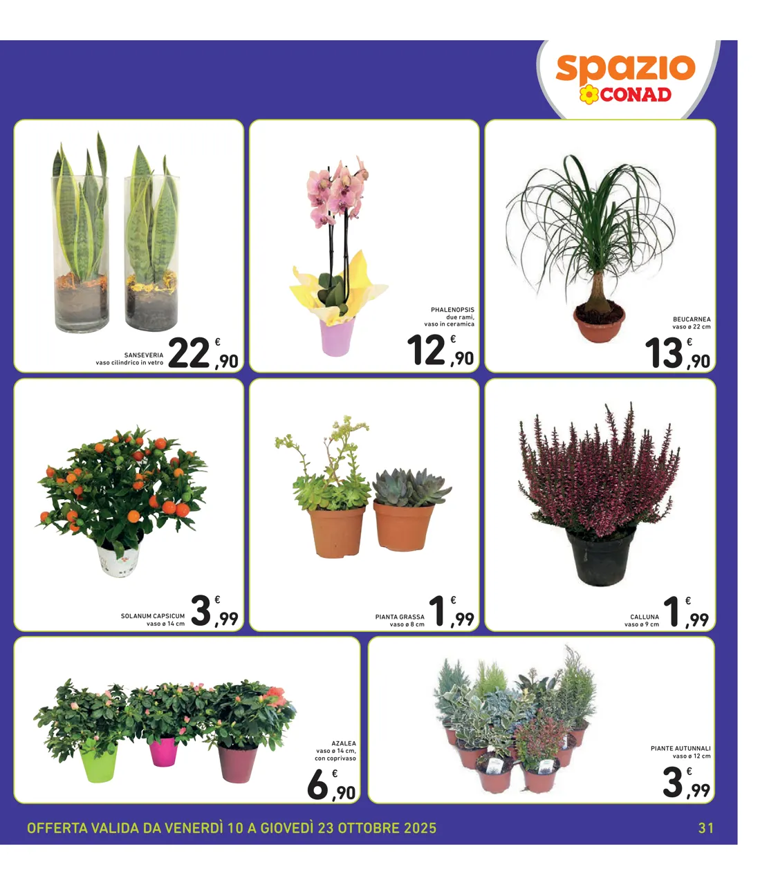 Pagina 31