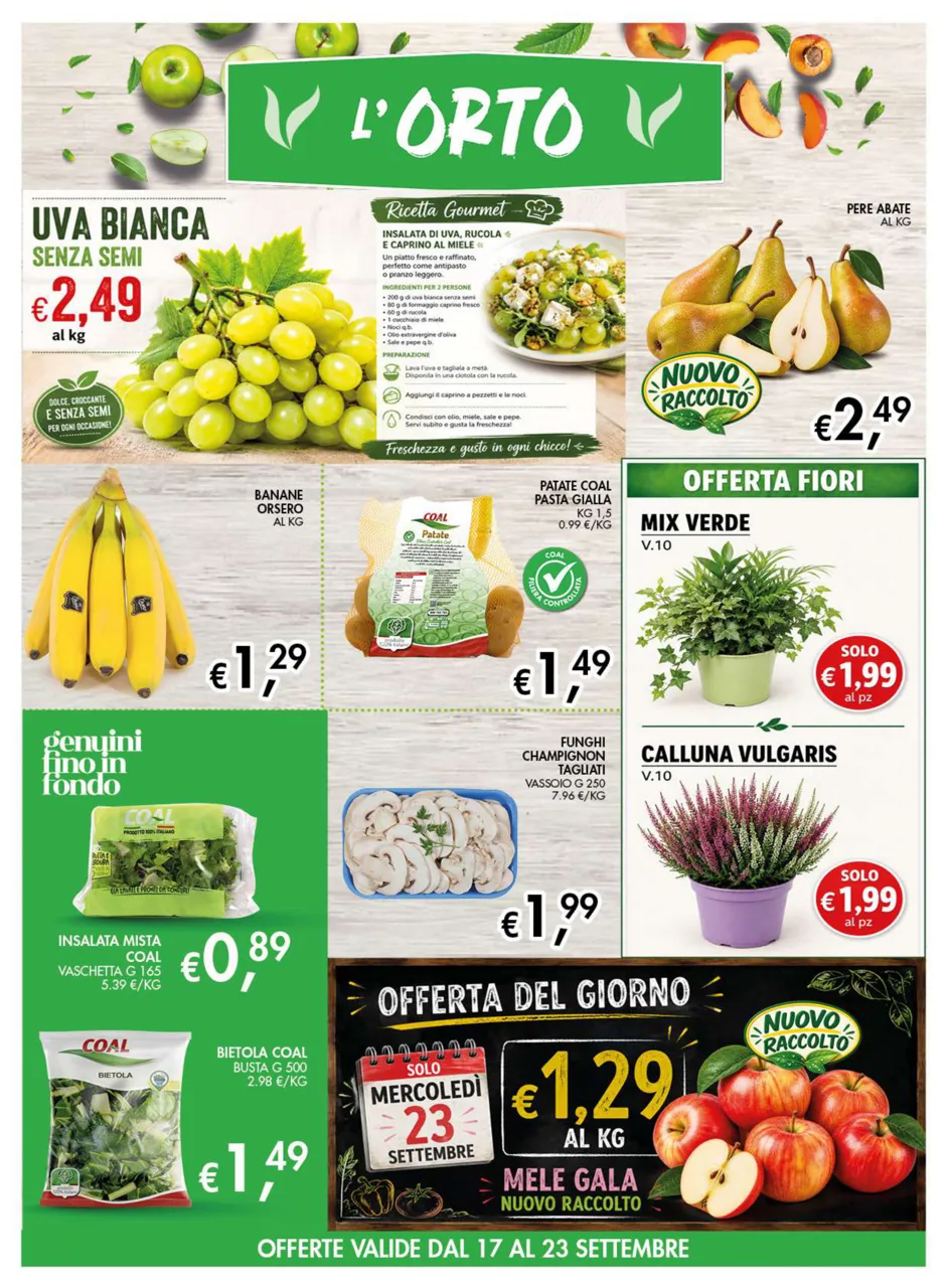 Pagina 7