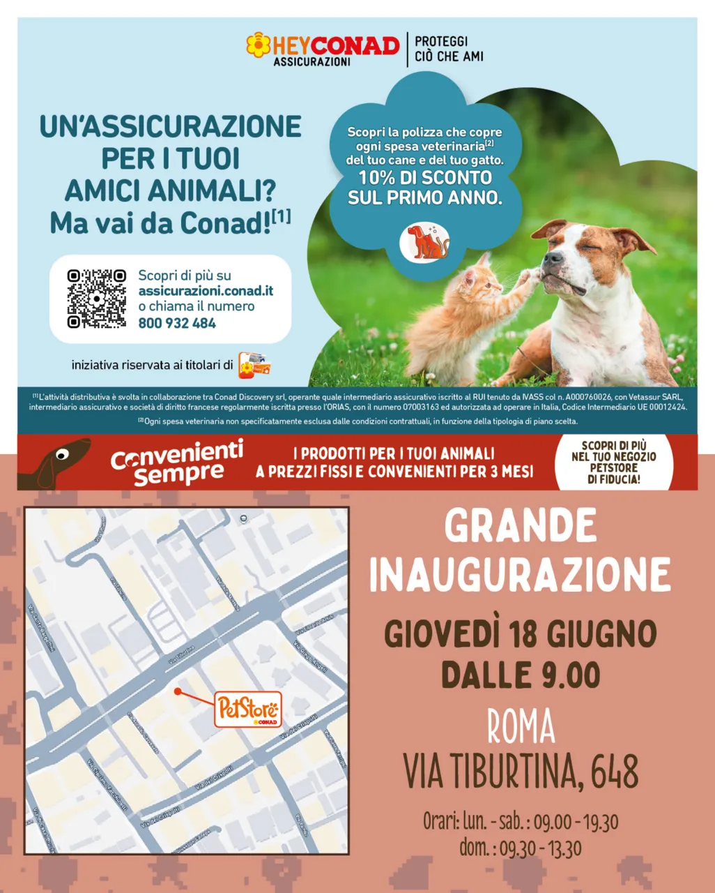 Pagina 8