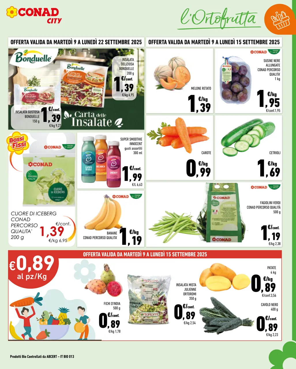Pagina 3