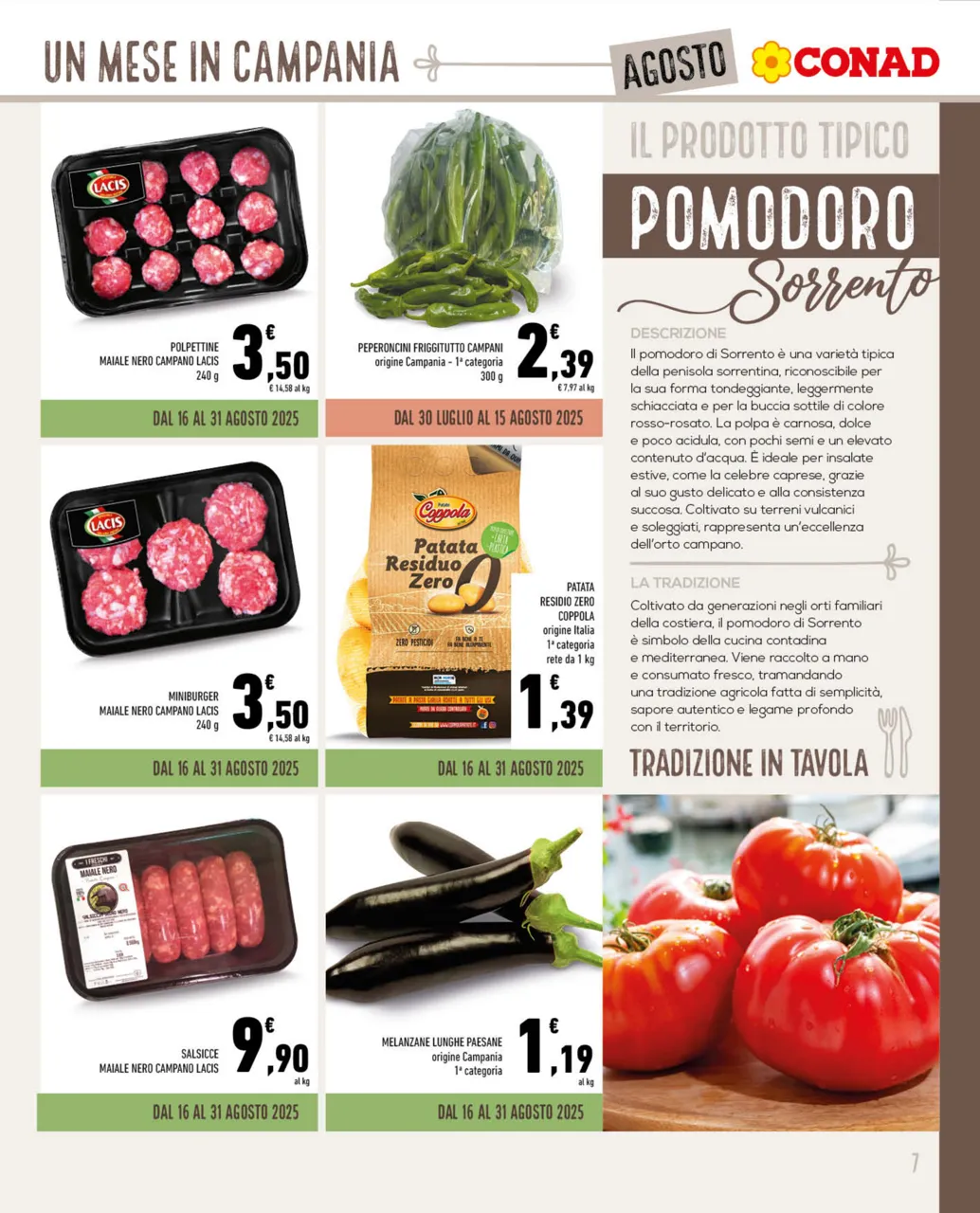 Pagina 7