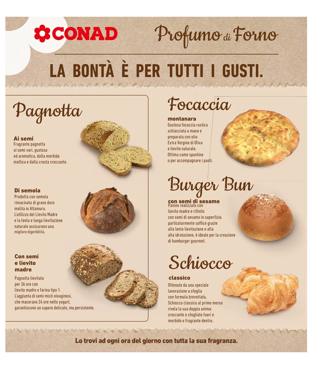 Pagina 35