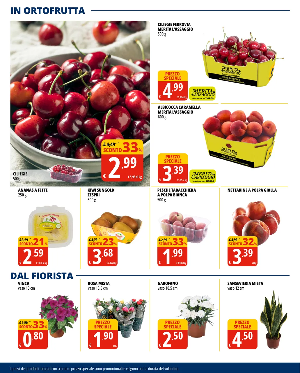 Pagina 10