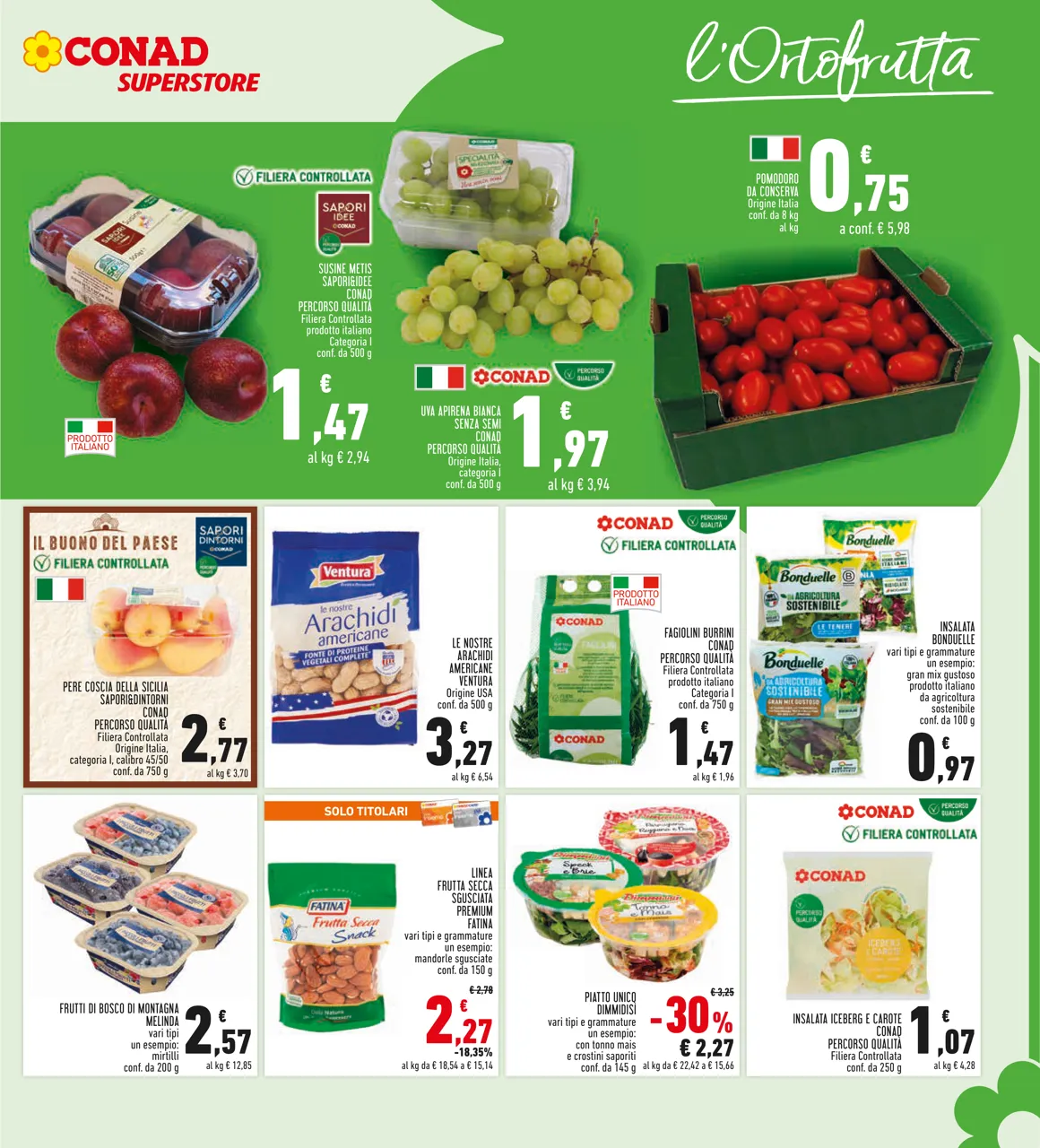 Pagina 7
