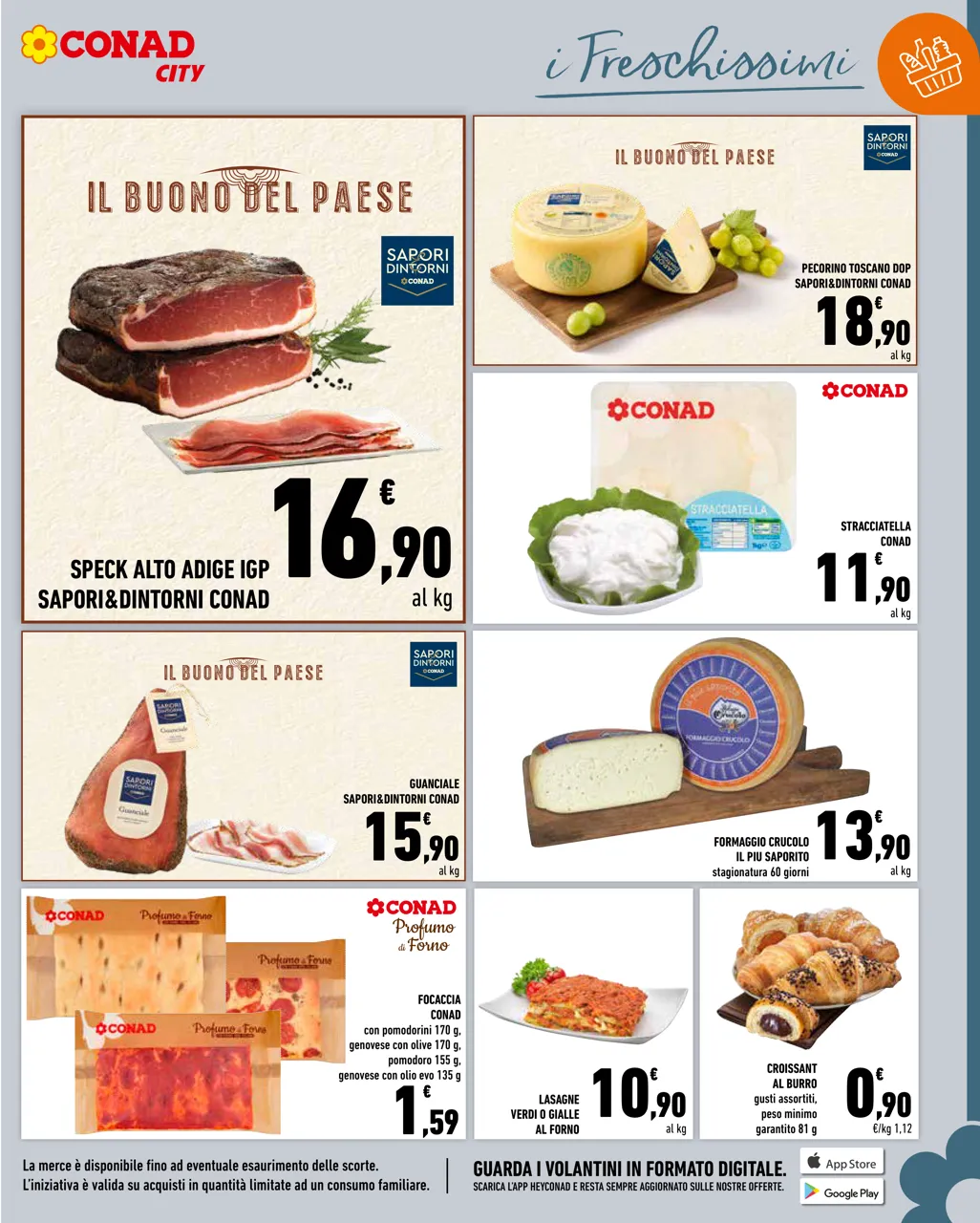 Pagina 5