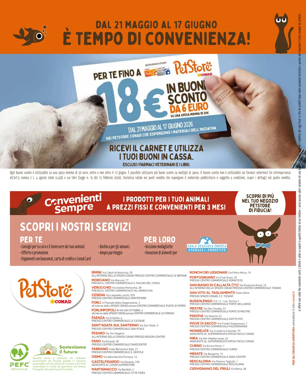 Pagina 8