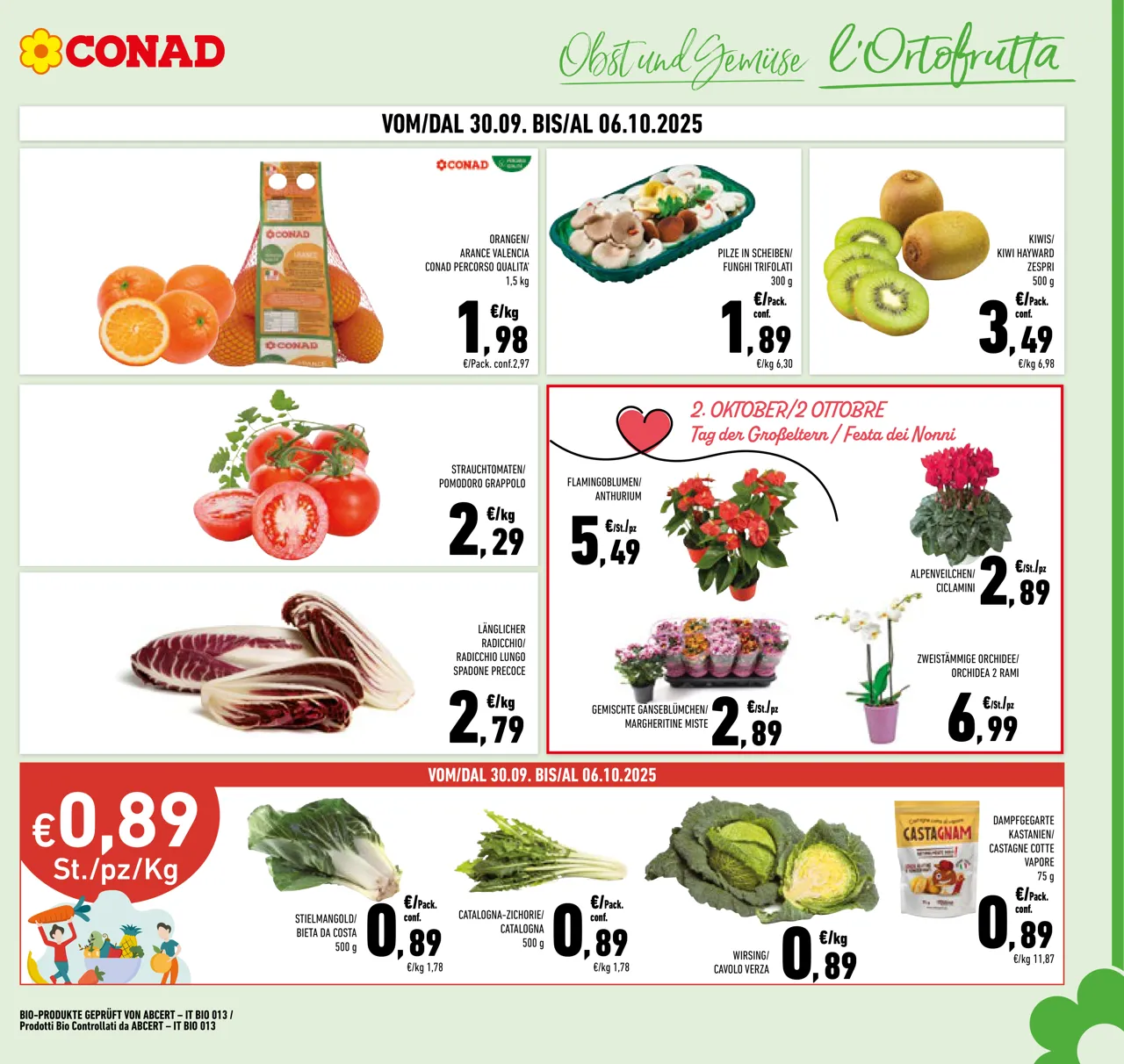 Pagina 3