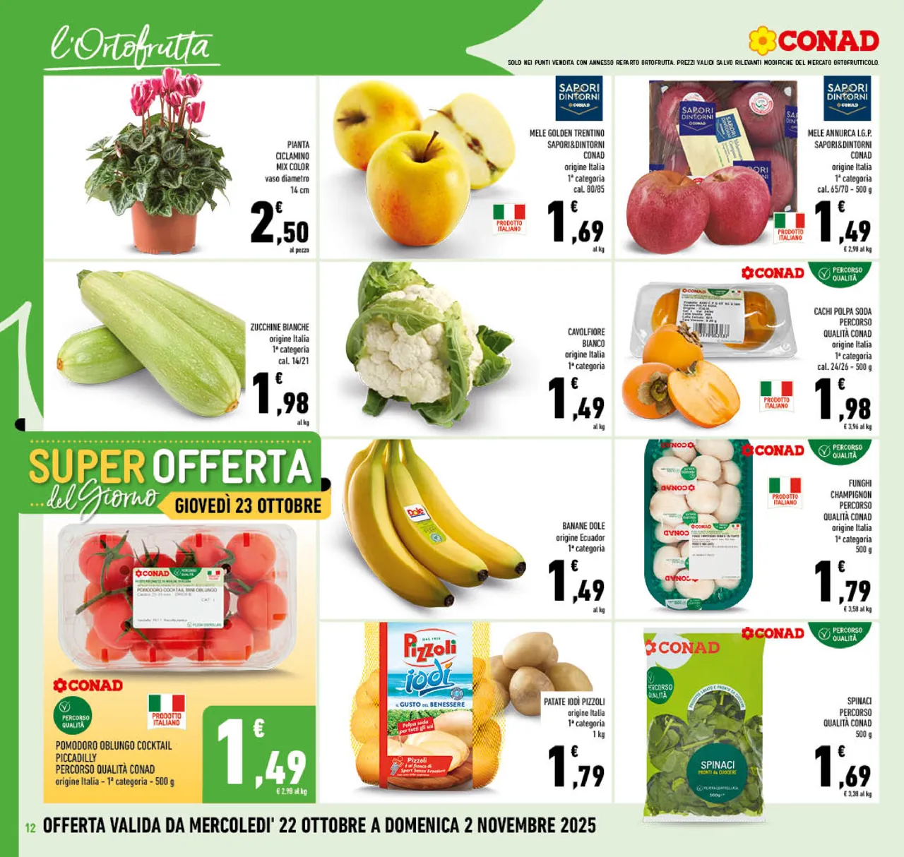 Pagina 12