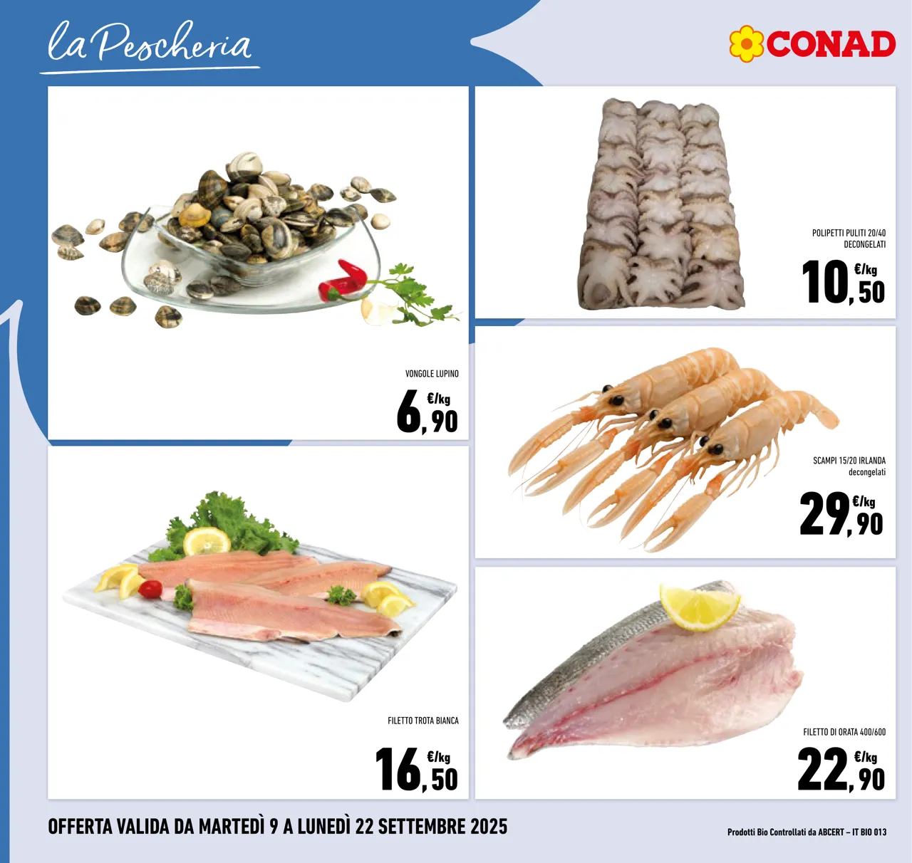 Pagina 6