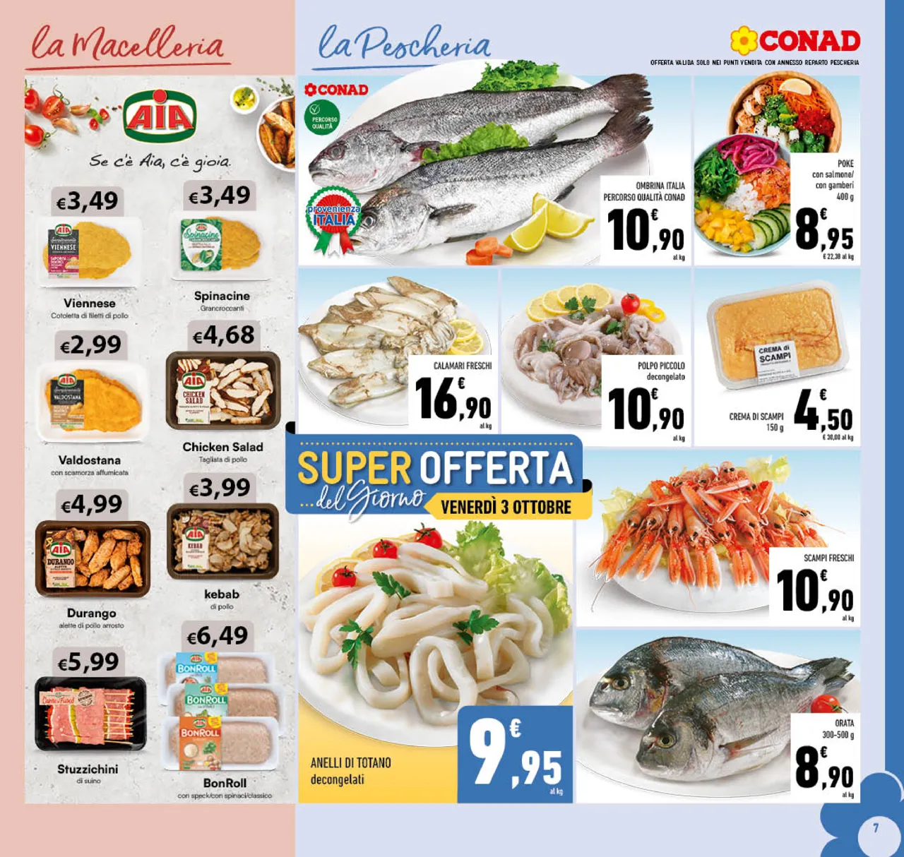 Pagina 7