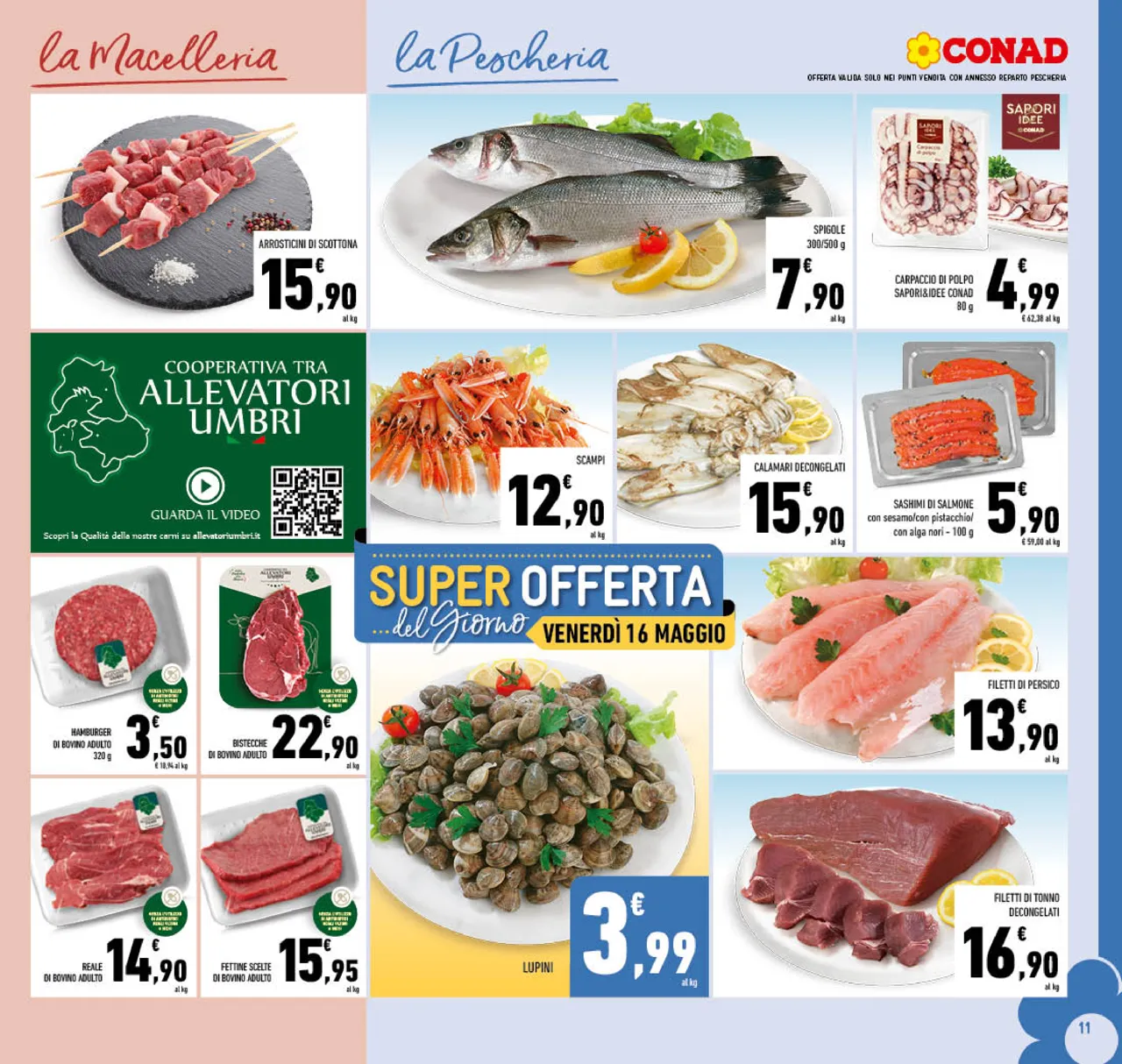Pagina 11