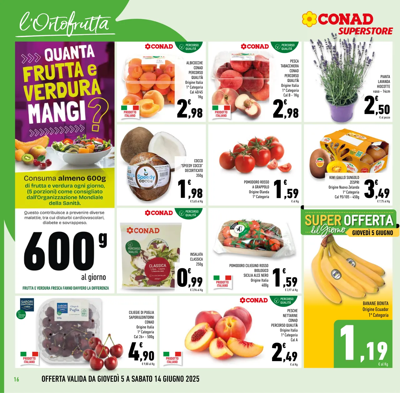 Pagina 16