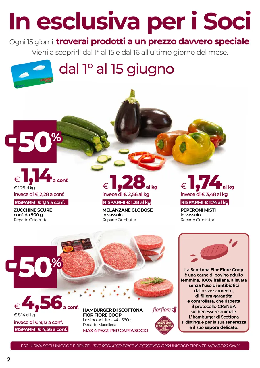 Pagina 2