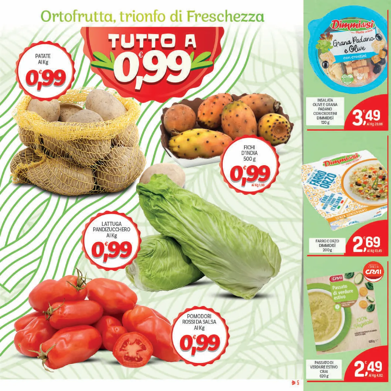 Pagina 5