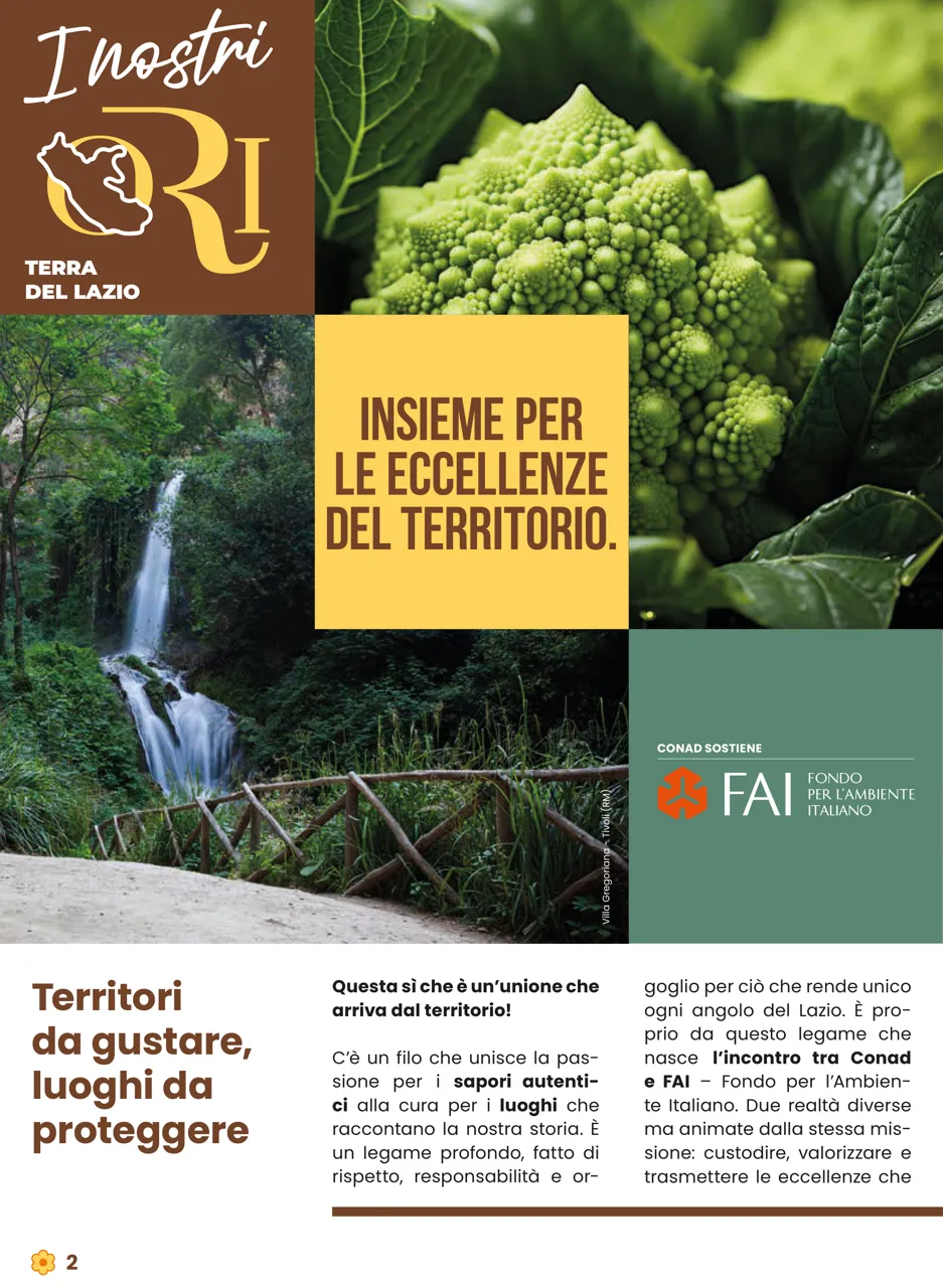 Pagina 2