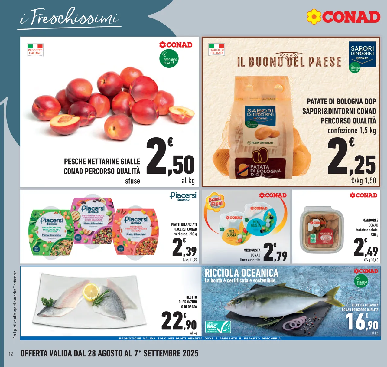 Pagina 12