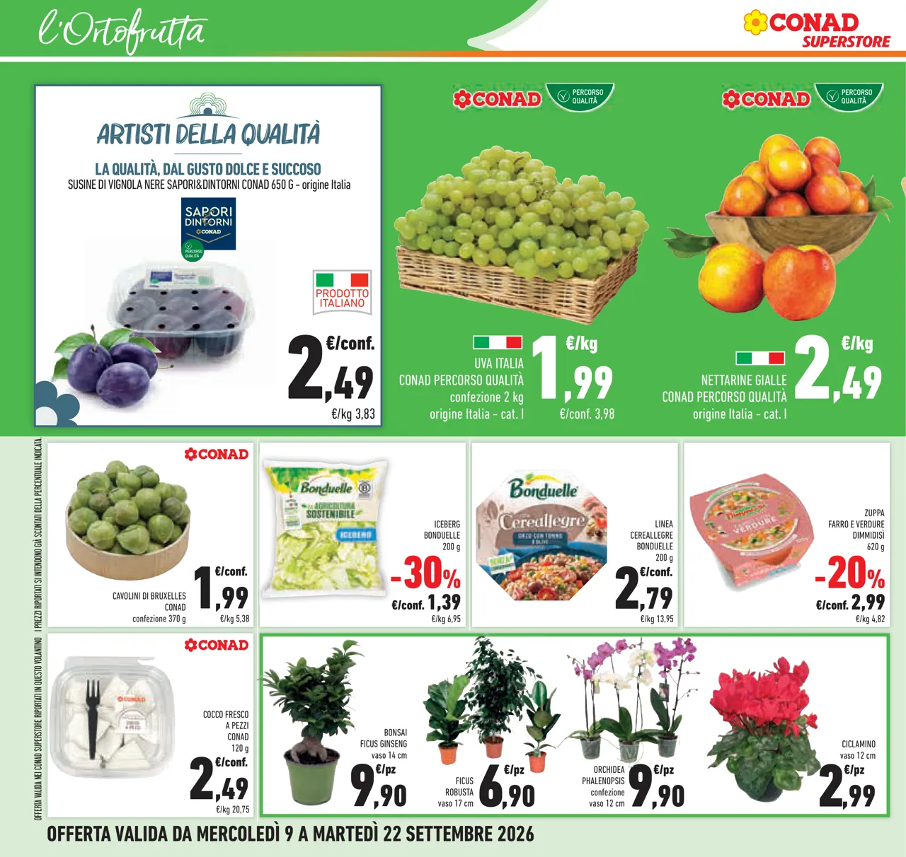 Pagina 28
