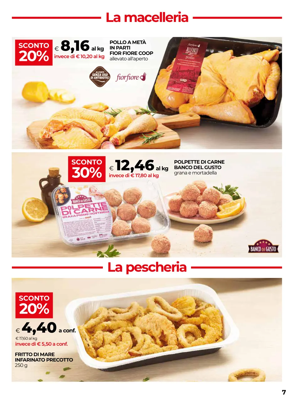 Pagina 7