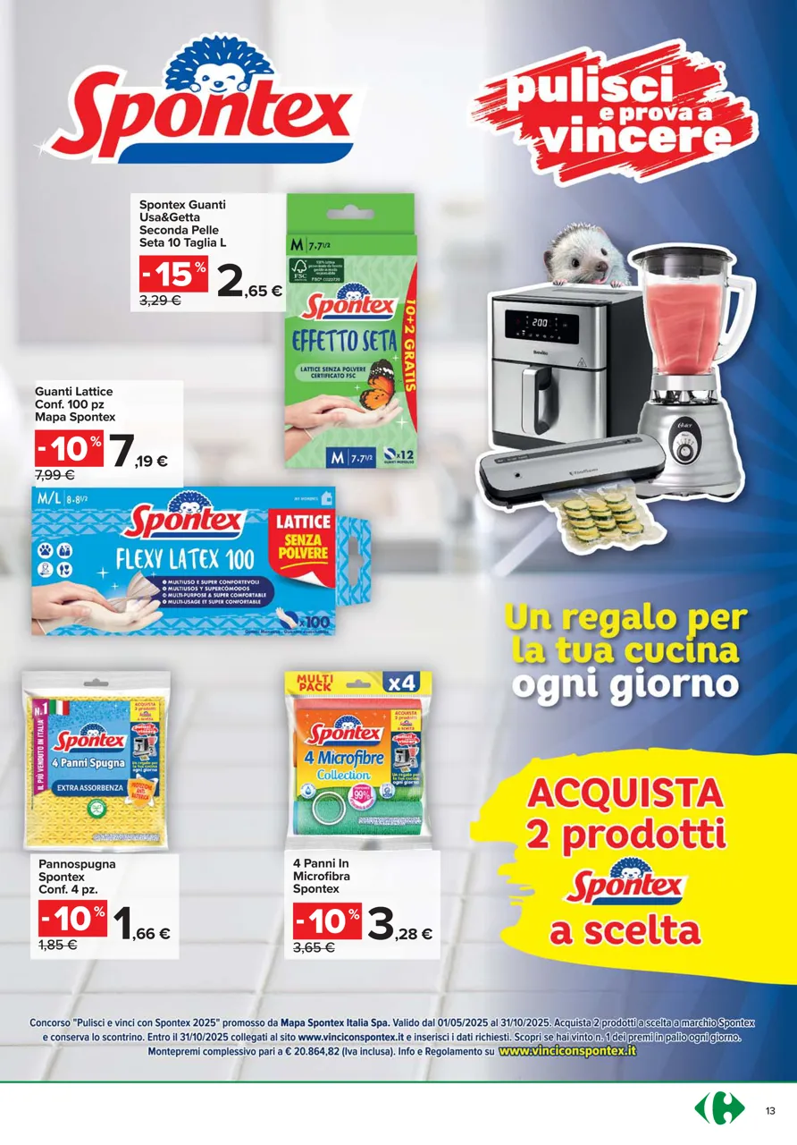 Pagina 13