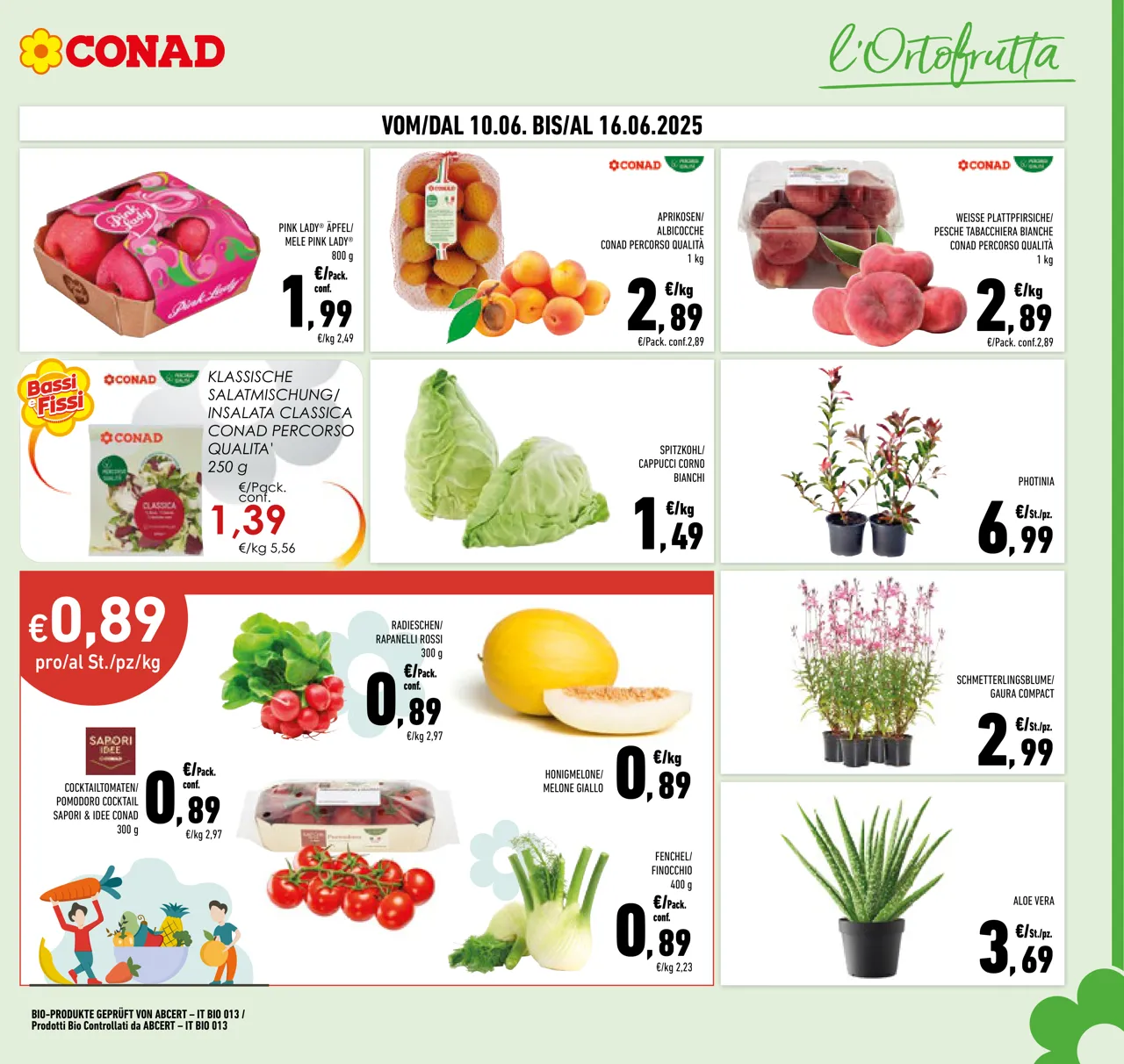 Pagina 7