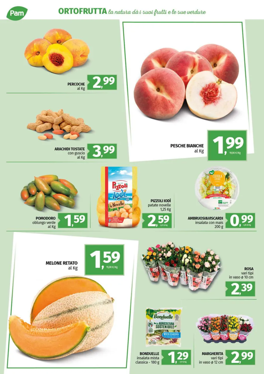 Pagina 10