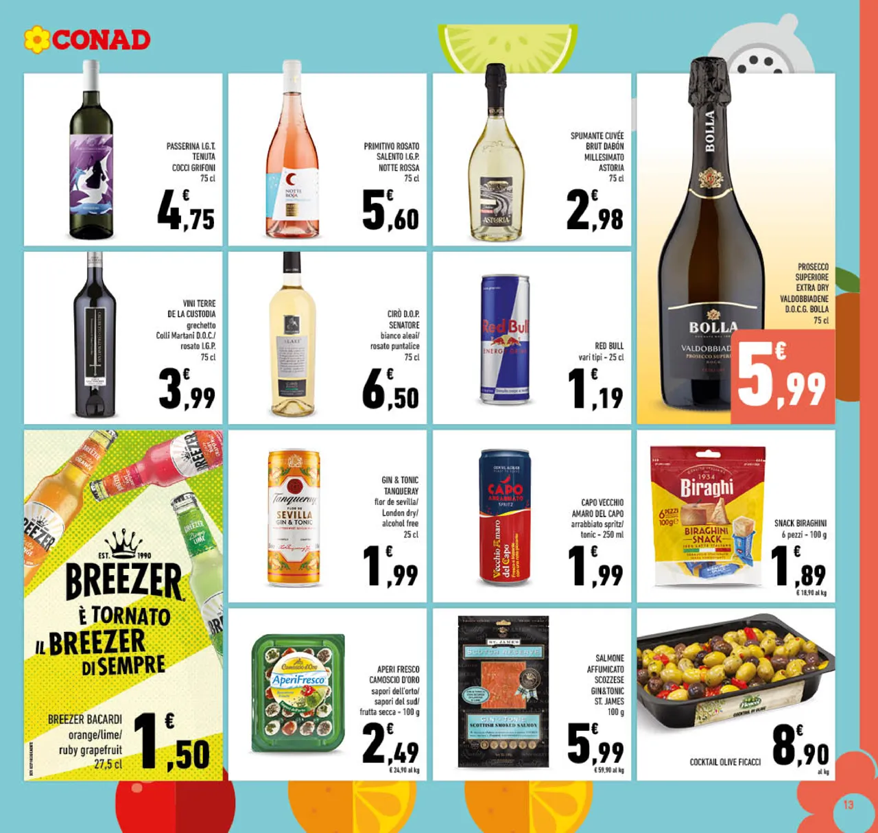 Pagina 13