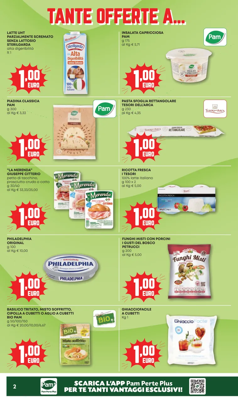 Pagina 2