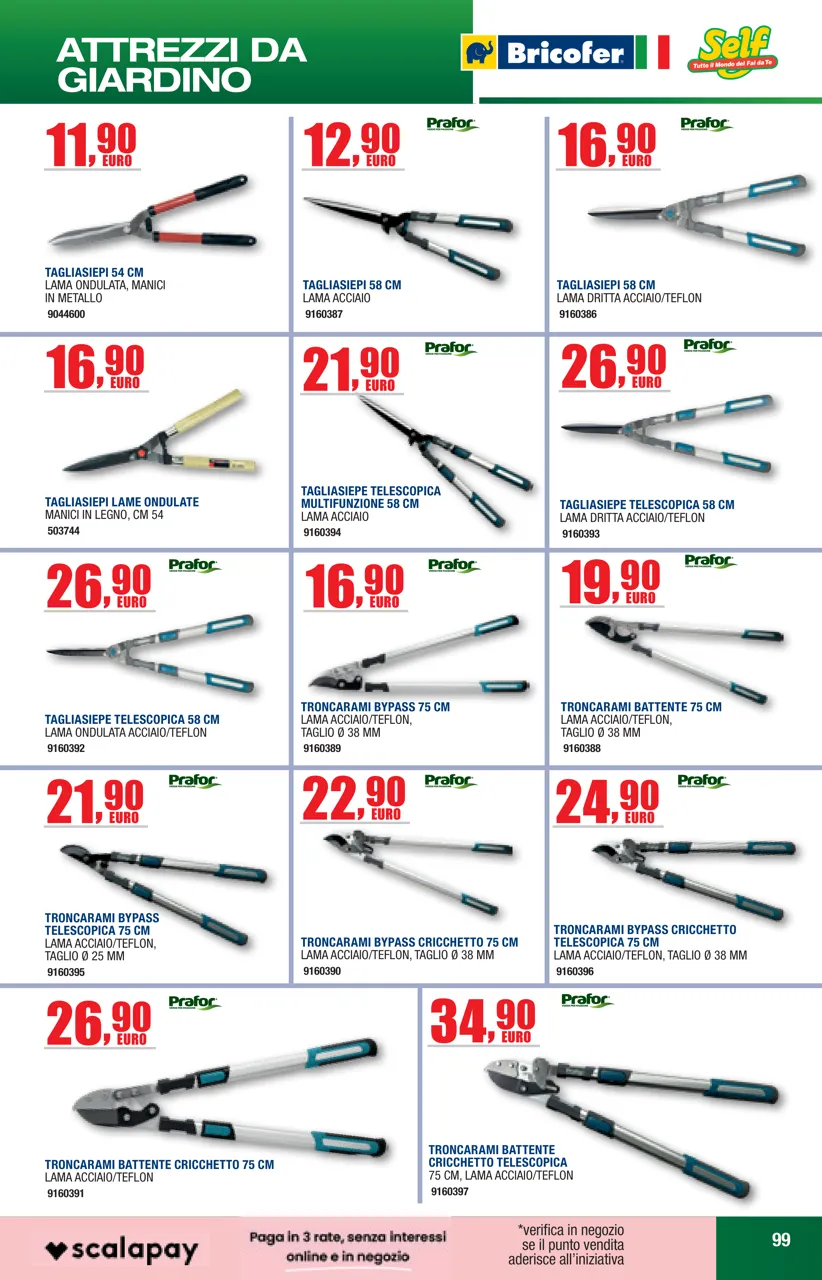 Pagina 99