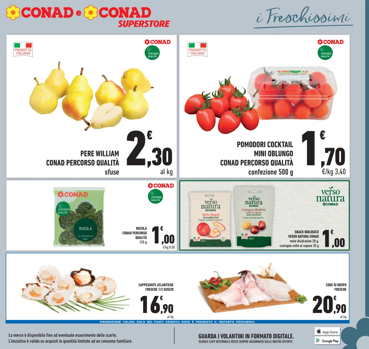 Pagina 5