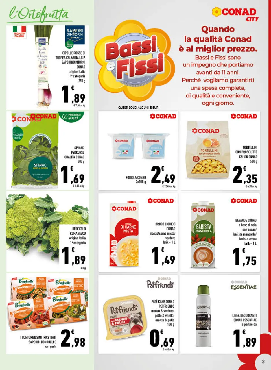 Pagina 3