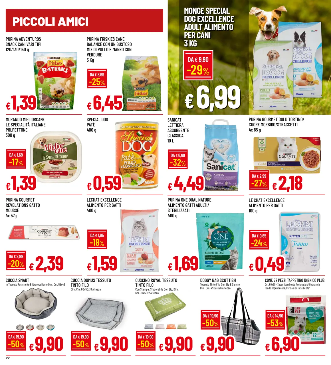 Pagina 22