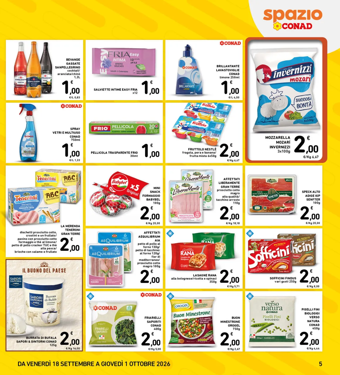 Pagina 5