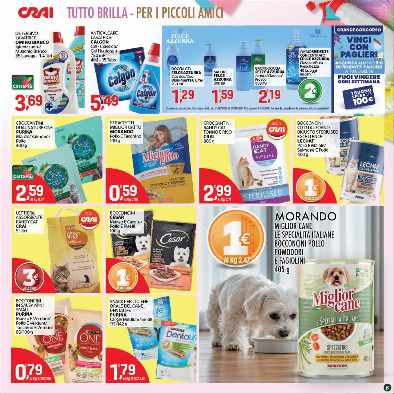 Pagina 15