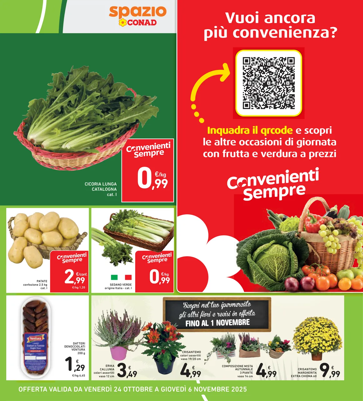 Pagina 11
