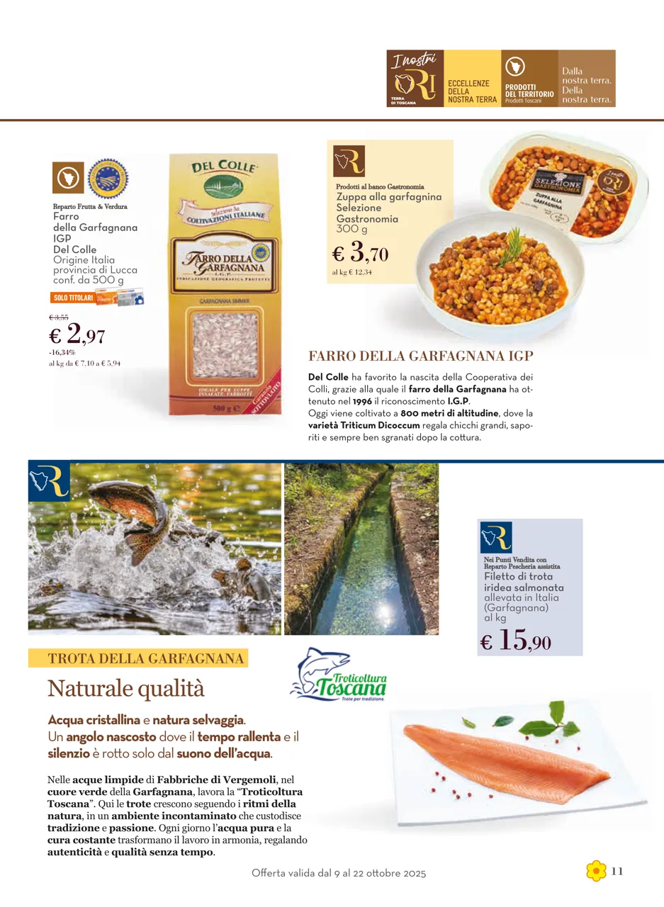 Pagina 11