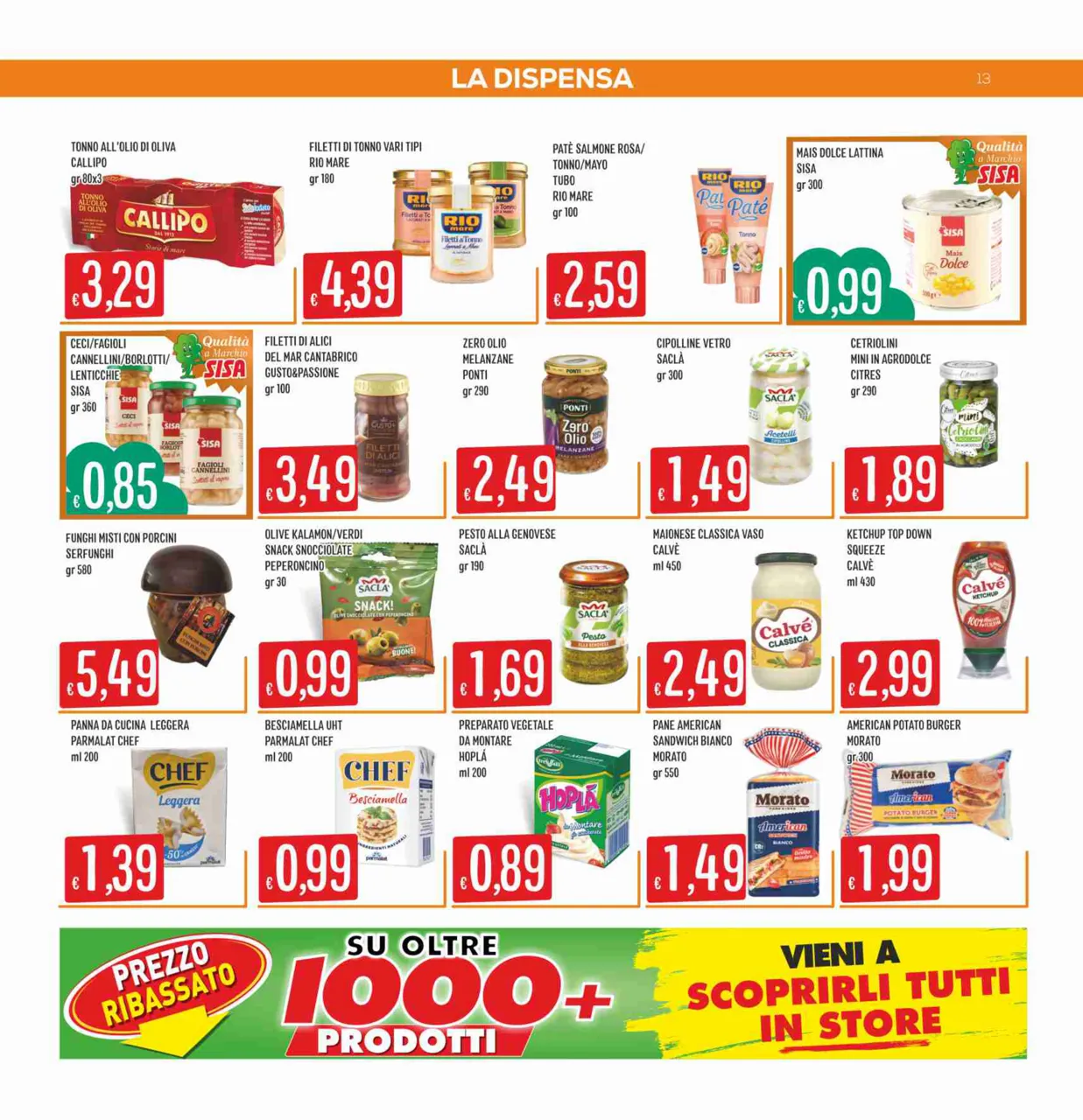 Pagina 13