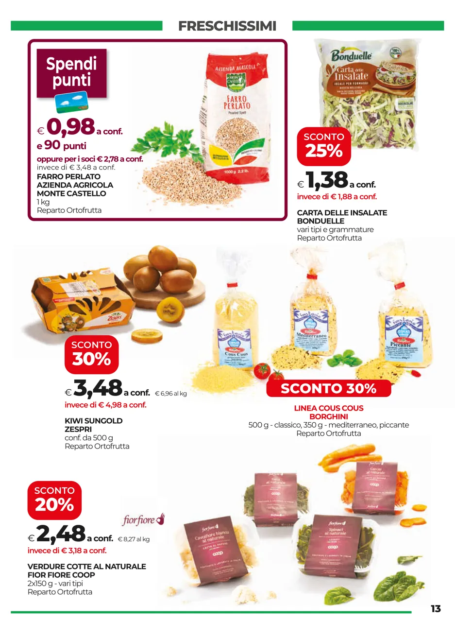 Pagina 13
