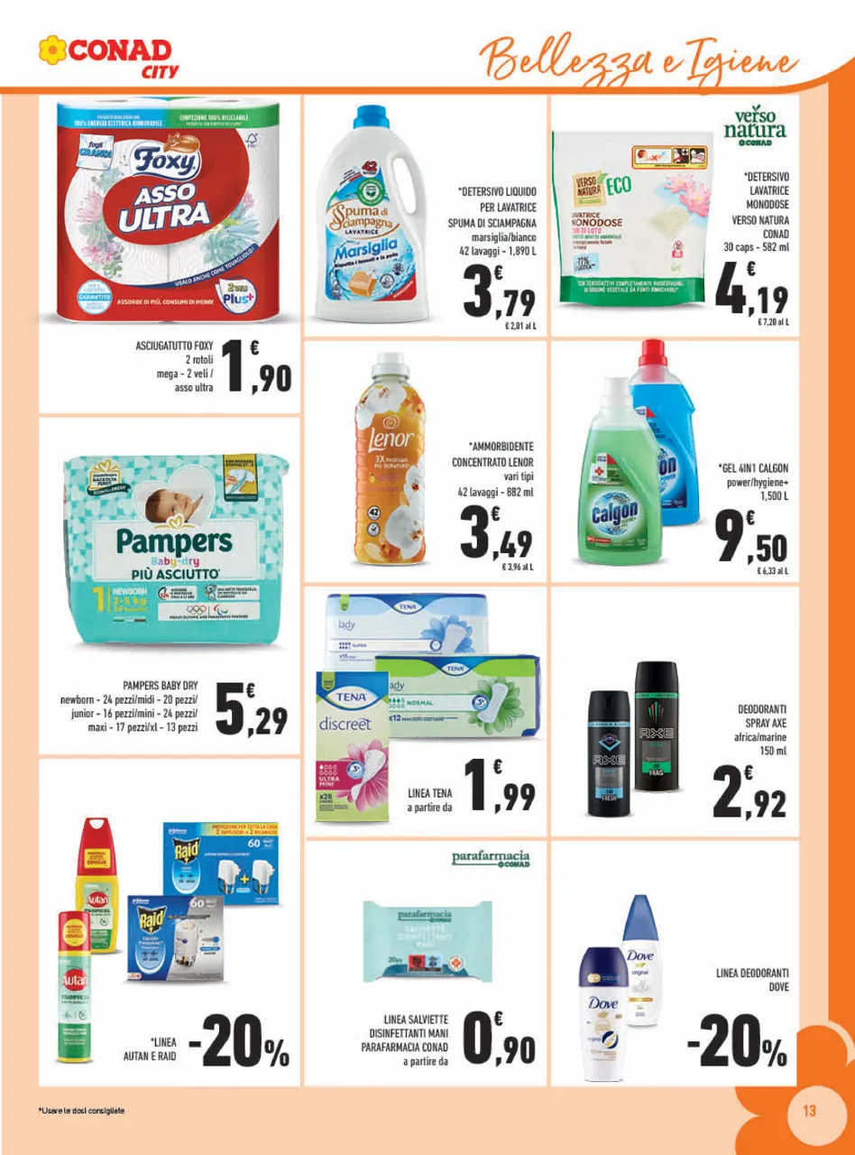 Pagina 13