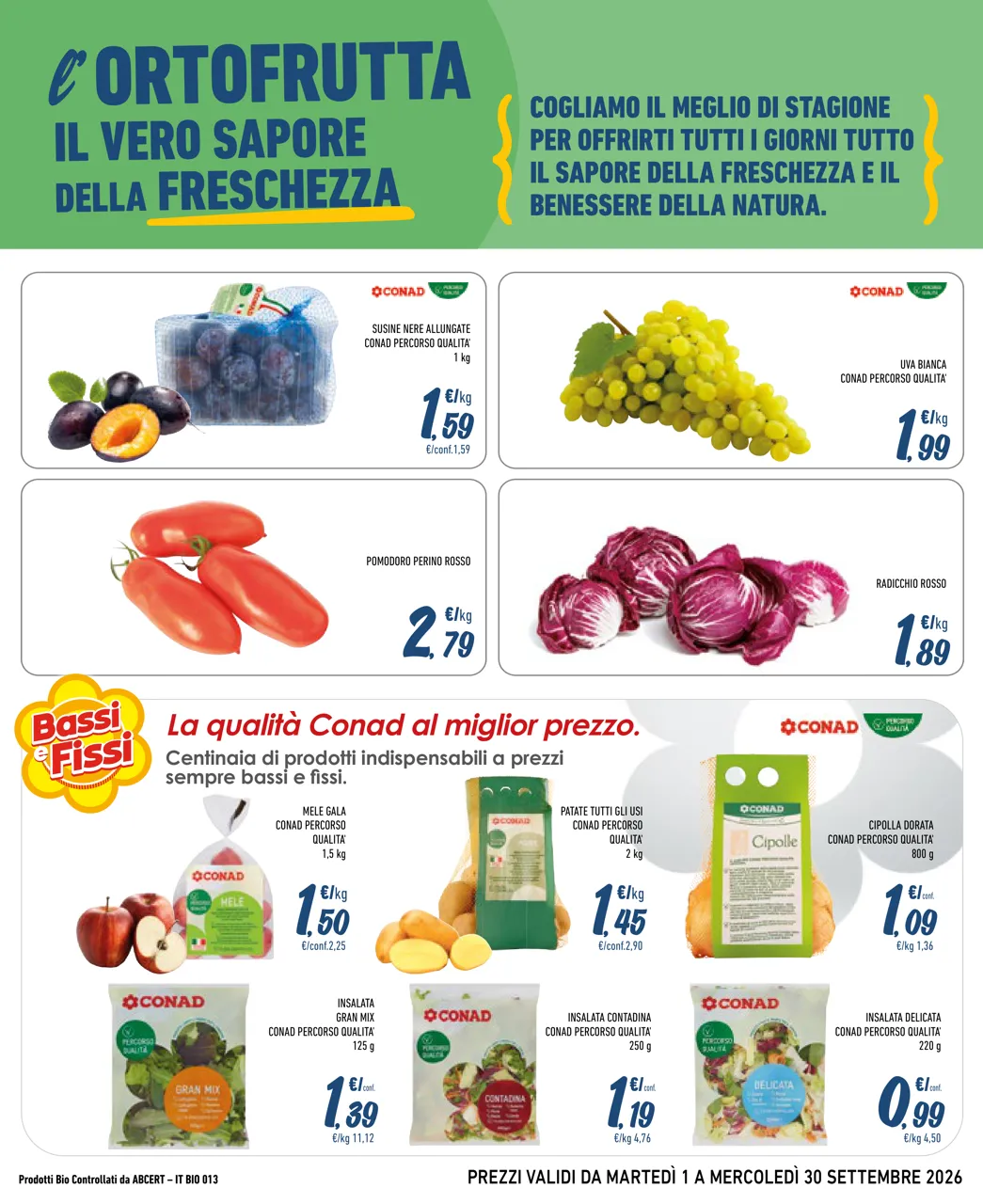 Pagina 3