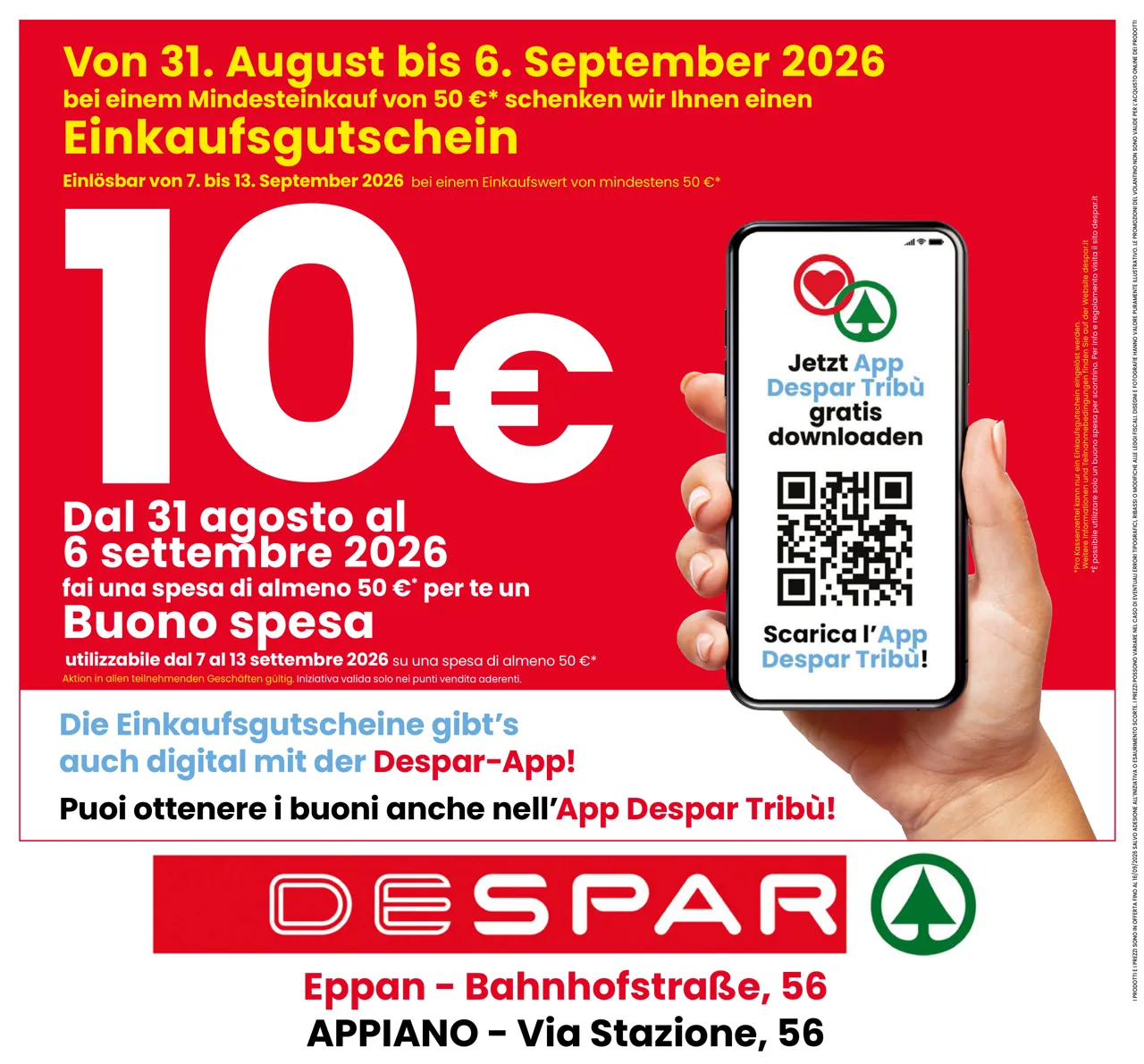 Pagina 8