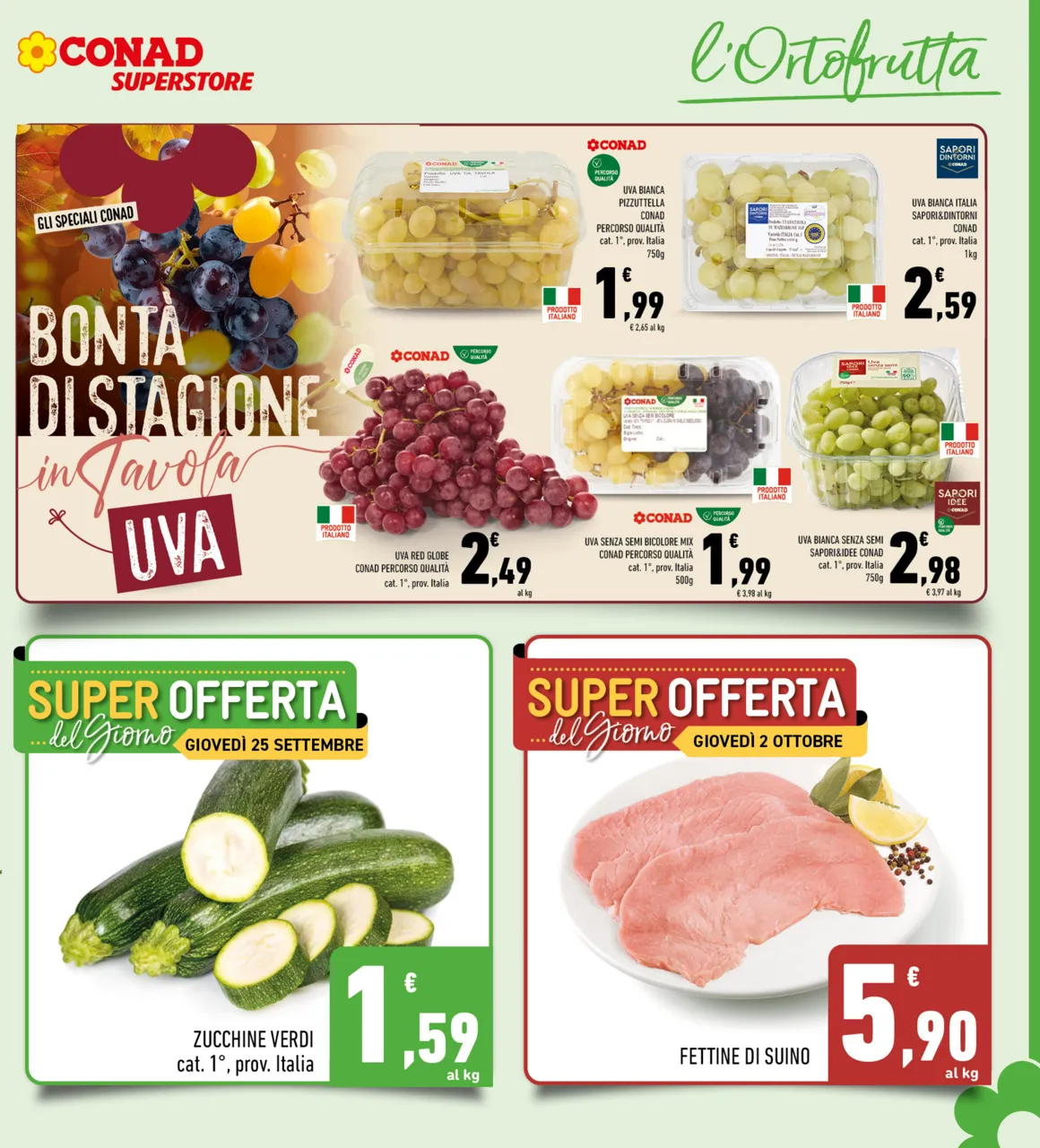 Pagina 5