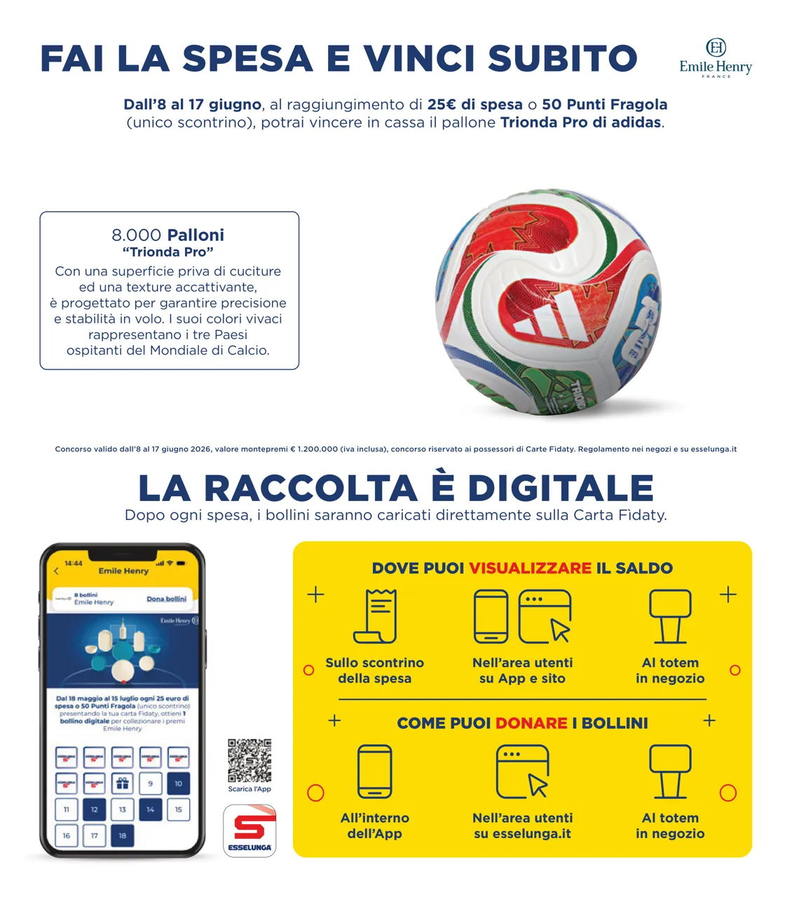 Pagina 5